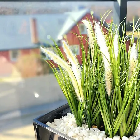 Jantart Slonce Jantaru By Triapart