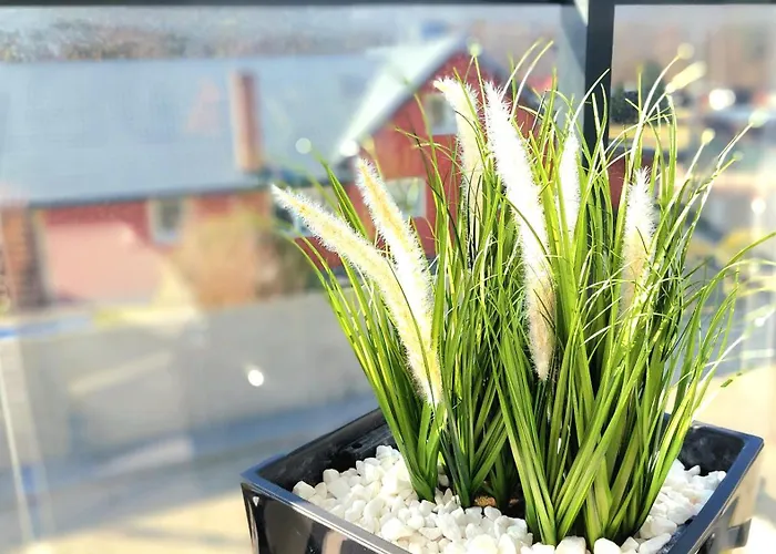 Jantart Slonce Jantaru By Triapart